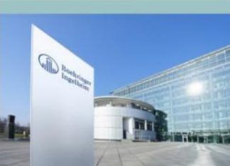 Discriminación y exclusión social por males raros en México: Boehringer Ingelheim