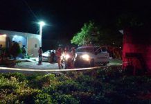 Yo Campesino / 185 mil asesinatos
