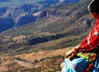 Artículo / Racismo contra pueblos indígenas