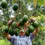 La Columna / Insoportable la inseguridad en Michoacán