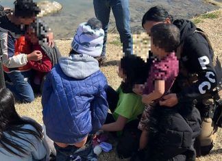 Picotazo Político / Niños Asesinados