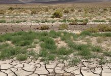 TEXTUAL-es / Aguas con el agua en México