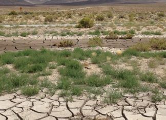Oeste norteamericano afectado por la peor sequía en mil 200 años