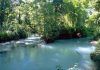 Pantanos de Centla en Tabasco