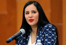Picotazo Político / No entiende