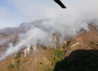 Morelos / Continúa combate al incendio forestal en Tepoztlán