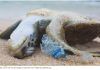 Hasta 34 mil millones de botellas de plástico contaminan mares al año: Oceana