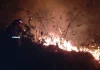 Incendios y carestía