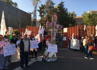 Simpatizantes de AMLO se manifiestan a favor de la Reforma Eléctrica