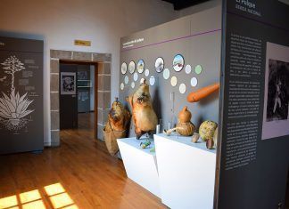 Atractivos del Museo del Pulque