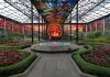 Cosmovitral, en Toluca