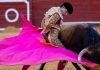 Cultura / ¿Siguen o terminan las corridas de toros en la CDMX?