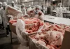 Diversos productos exentarán aranceles para su importación