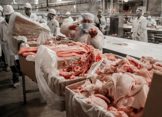 Diversos productos exentarán aranceles para su importación