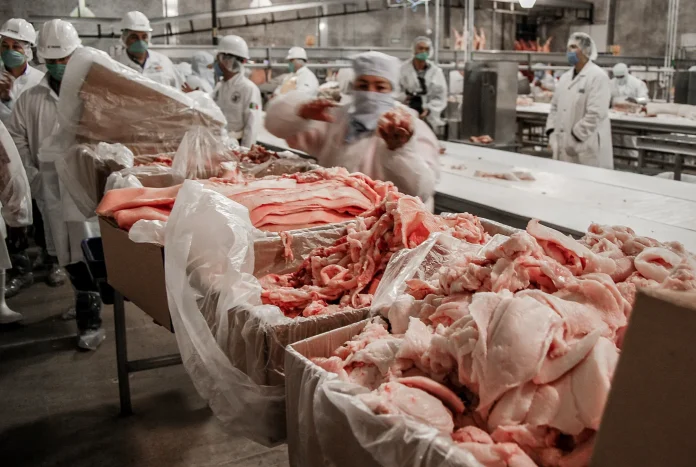 carne-de-cerdo-procedente-de-alemania