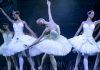 Lago de los cisnes llega al cine