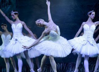 Lago de los cisnes llega al cine