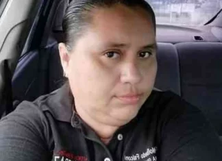 Artículo / Respetar a delincuentes: AMLO
