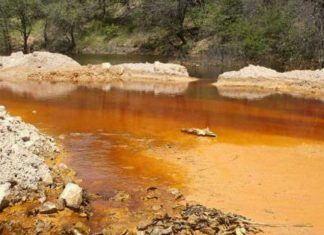 Accidente ecológico de Grupo México