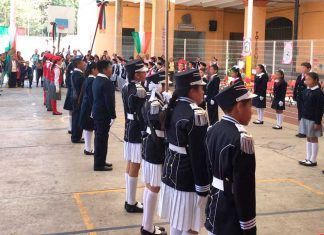 Artículo / Persiste insensatez de Gobierno con productores
