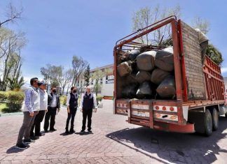 Recibe alcalde de Pachuca árboles para reforestar jardín de los hombres ilustres