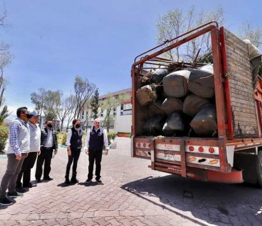 Recibe alcalde de Pachuca árboles para reforestar jardín de los hombres ilustres