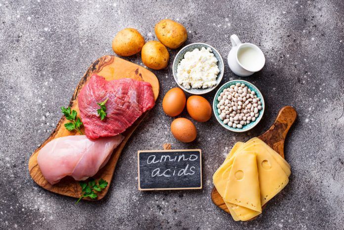alimentos-aminoacidos
