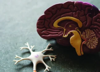 Vacuna contra la gripe reduce probabilidades de padecer Alzheimer