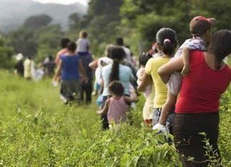 ESPECIAL / Más desplazados