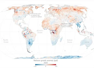 Emisiones globales de metano crecieron en 2020