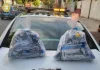 SSC-CDMX logra recuperar dos mdp en efectivo, luego de asalto en alcaldía Miguel Hidalgo