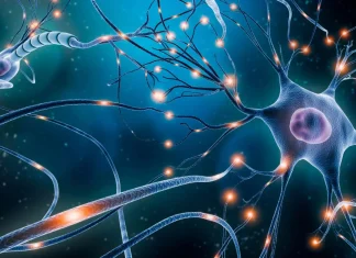 Neuronas que controlan la fiebre