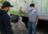 ESPECIAL / En reciclaje, México a la vanguardia