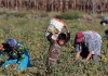 Visión Laboral / Trabajo infantil en el olvido