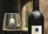 Pozo de luna