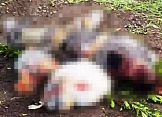 Michoacán / Hallan cuatro cadáveres encobijados