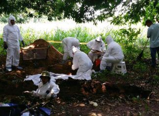 Michoacán / Hallan 11 cuerpos en fosas clandestina