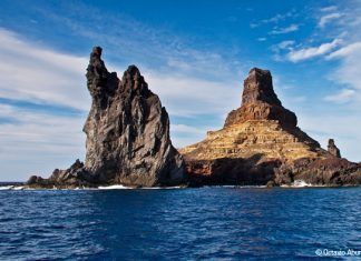 Archipiélago de Revillagigedo en Colima