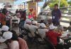 Participan más de dos mil niñas y niños en los cursos de verano del municipio de Tecámac