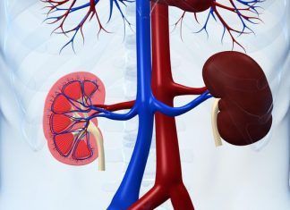Sistema de salud mexicano, rebasado ante aumento de casos de enfermedad renal