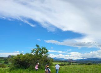 Michoacán / Colectivos de Búsqueda realizaron recorridos en predios de diversos