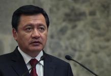Se Comenta Solo Con… / La Purga