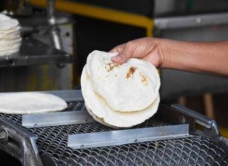 ESPECIAL / ¡Ni para tortillas!