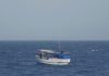Urge acelerar en México Norma de Trazabilidad contra pesca ilegal: Oceana