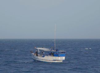 Urge acelerar en México Norma de Trazabilidad contra pesca ilegal: Oceana