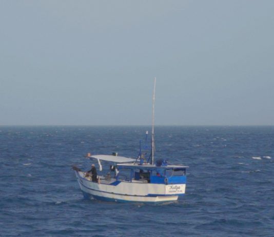 Urge acelerar en México Norma de Trazabilidad contra pesca ilegal: Oceana