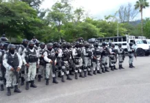 Sheinbaum alista plan con Guardia Nacional para reactivar exportación de aguacate a EU