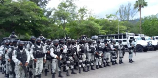 Sheinbaum alista plan con Guardia Nacional para reactivar exportación de aguacate a EU