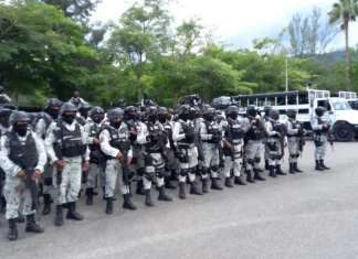 Sheinbaum alista plan con Guardia Nacional para reactivar exportación de aguacate a EU