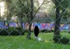 Hallan cadáver en inmediaciones de Viveros de Coyoacán